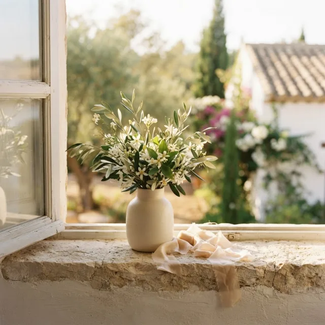 Un jarrón de cerámica crema con ramas de olivo y flores blancas sobre un alféizar de piedra bañado por la luz cálida del sol.