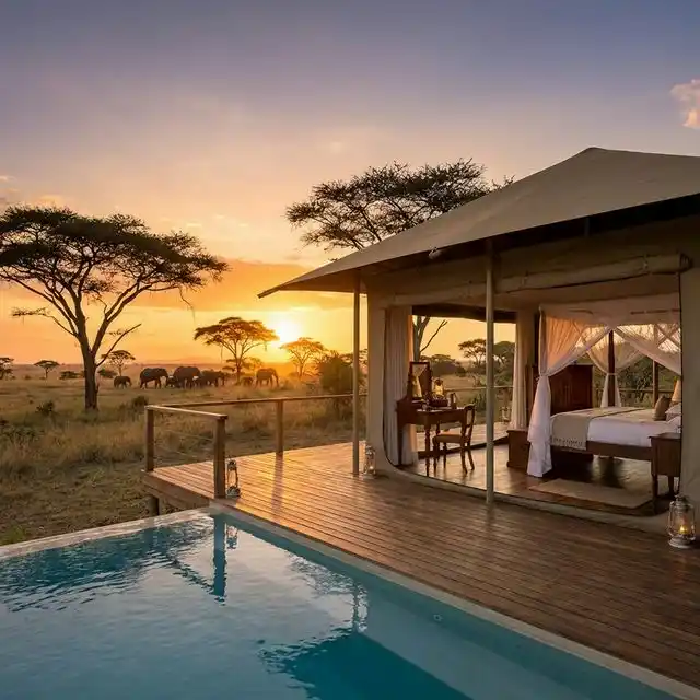 Luna de miel en África